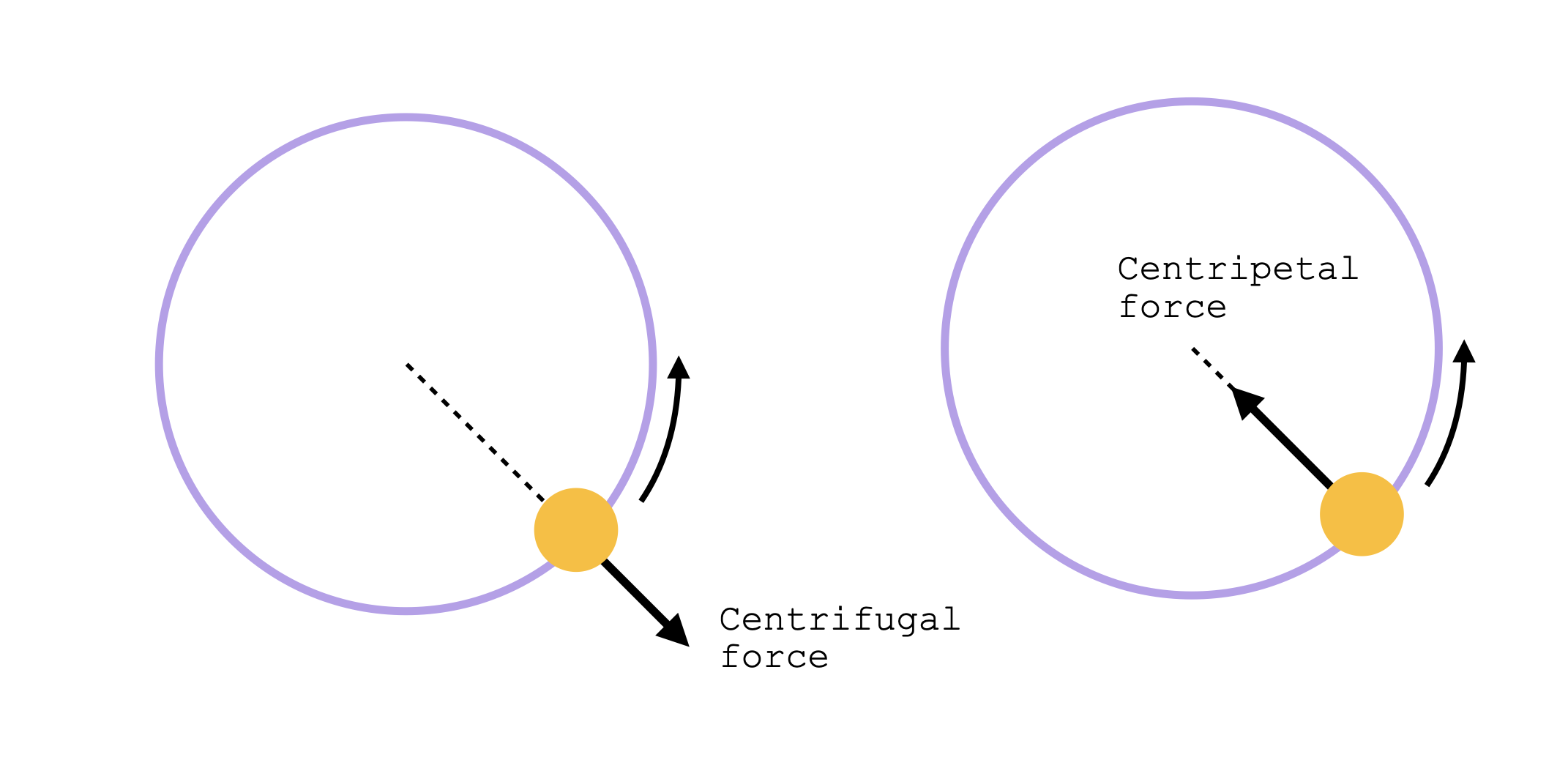 Centrifugal vs Centripetal Forces